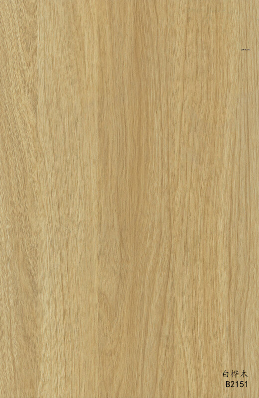 白桦木B2151